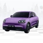 Chery Q